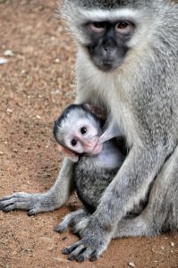 single and breastfeeding